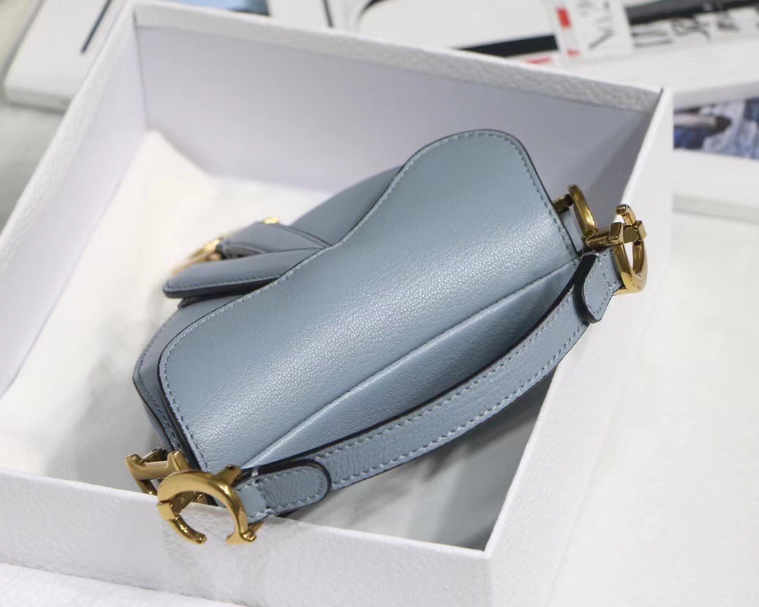 Dior Micro Saddle Bag In Cloud Blue Goatskin 670