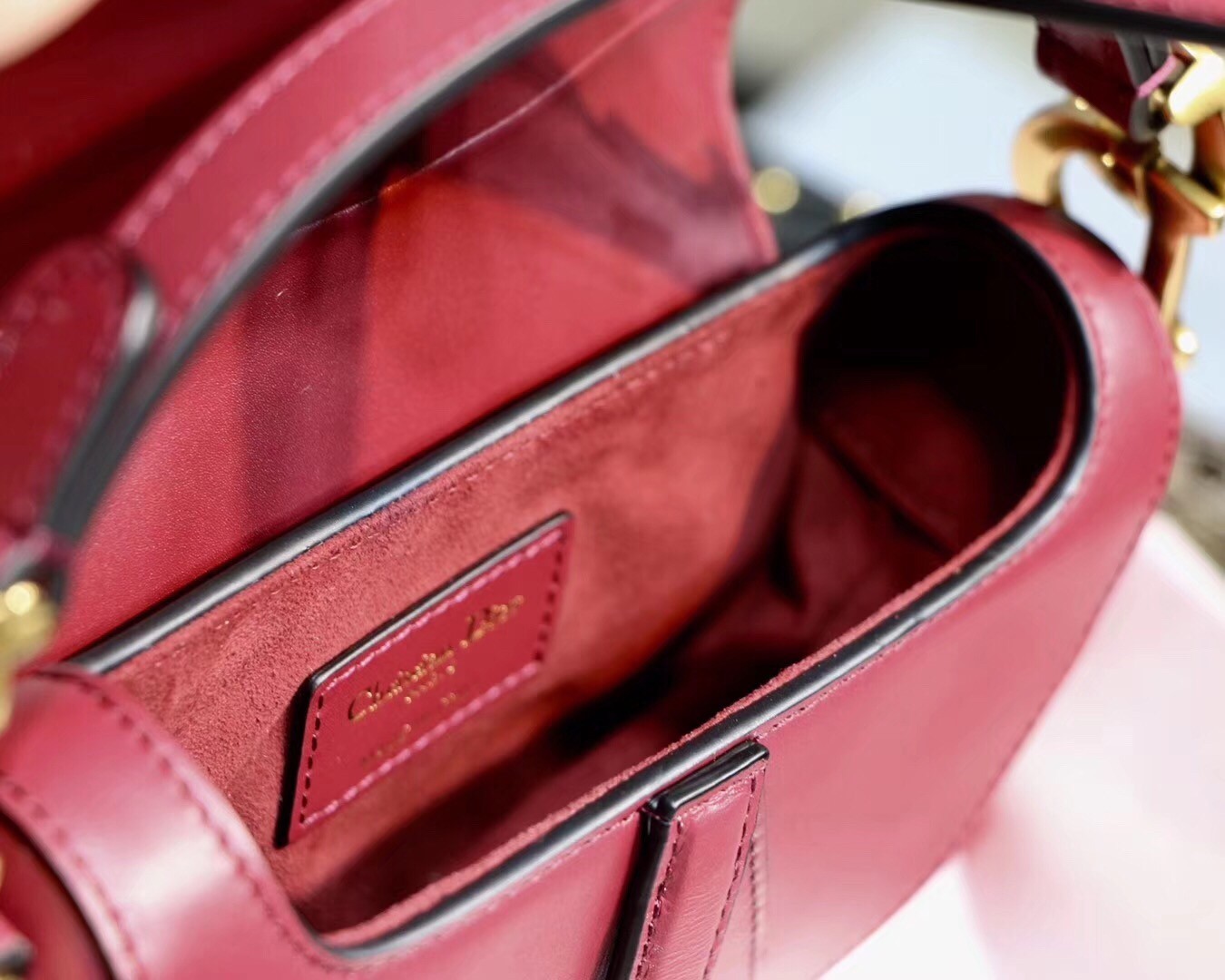 Dior Mini Saddle Bag In Red Calfskin 532