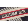 Dior DiorAlps Book Tote In Blue Three-Tone Embroidery 109