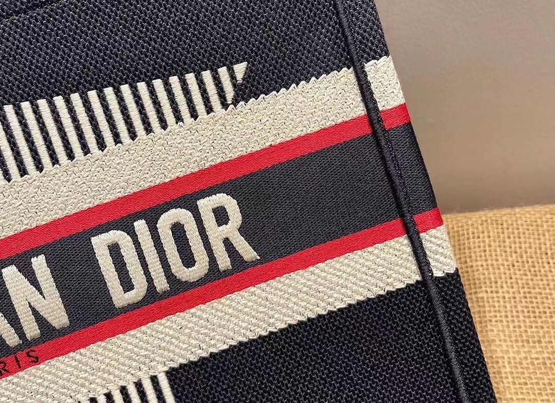 Dior DiorAlps Book Tote In Blue Three-Tone Embroidery 109