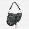 Dior Saddle Bag In Grey Mizza Embroidery 931