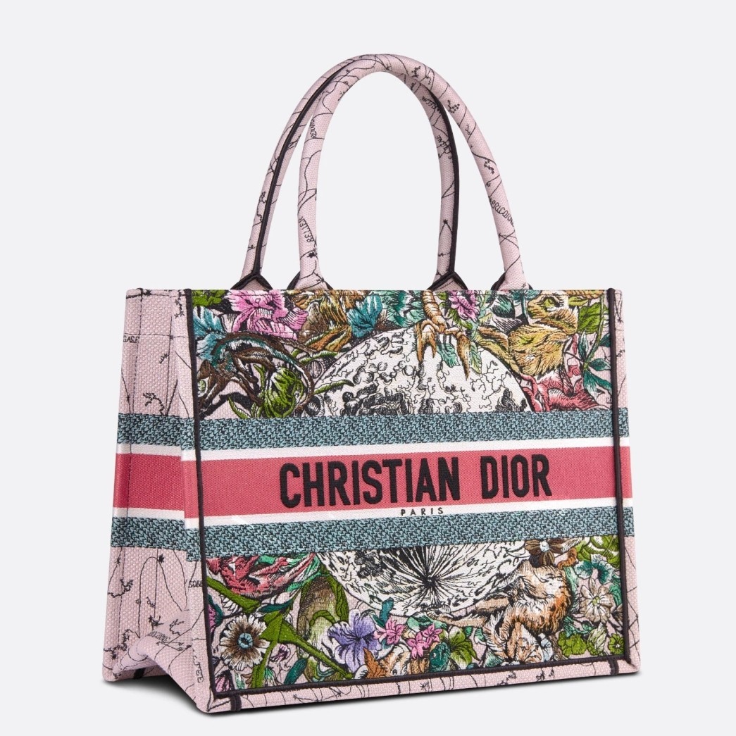 Dior Small Book Tote In Multicolor Dior Constellation Embroidery 333