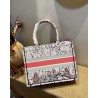 Dior Small Book Tote In Multicolor Dior Constellation Embroidery 333