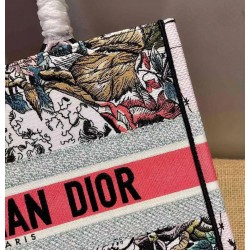 Dior Small Book Tote In Multicolor Dior Constellation Embroidery 333