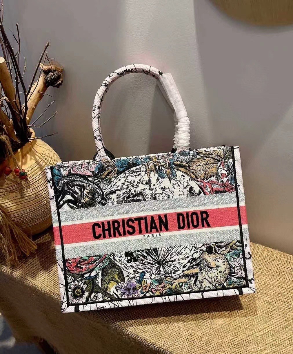 Dior Small Book Tote In Multicolor Dior Constellation Embroidery 333