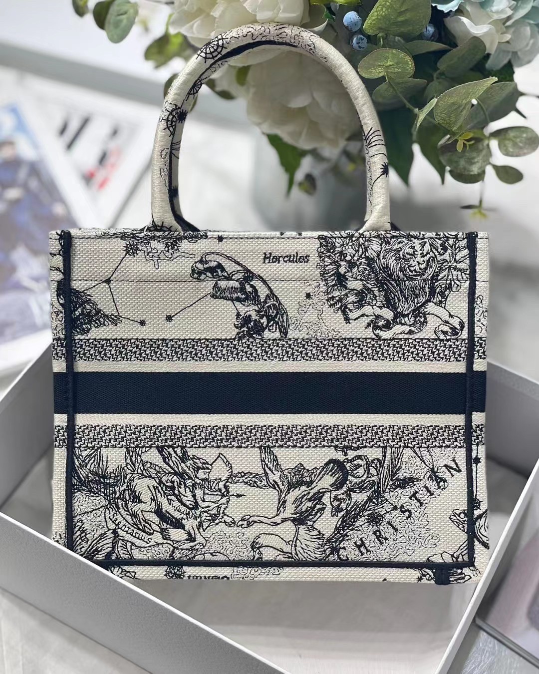 Dior New Small Book Tote In White Toile de Jouy Zodiac Embroidery 455