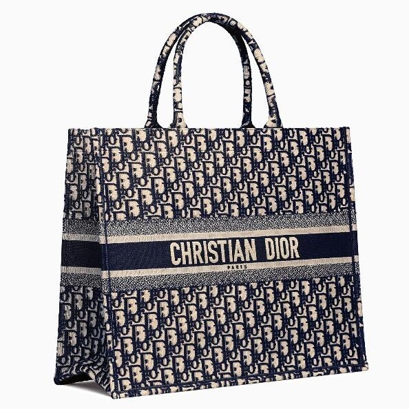 Dior Book Tote Bag In Blue Oblique Canvas  544