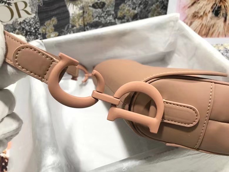 Dior Saddle Bag In Blush Ultramatte Calfskin 846