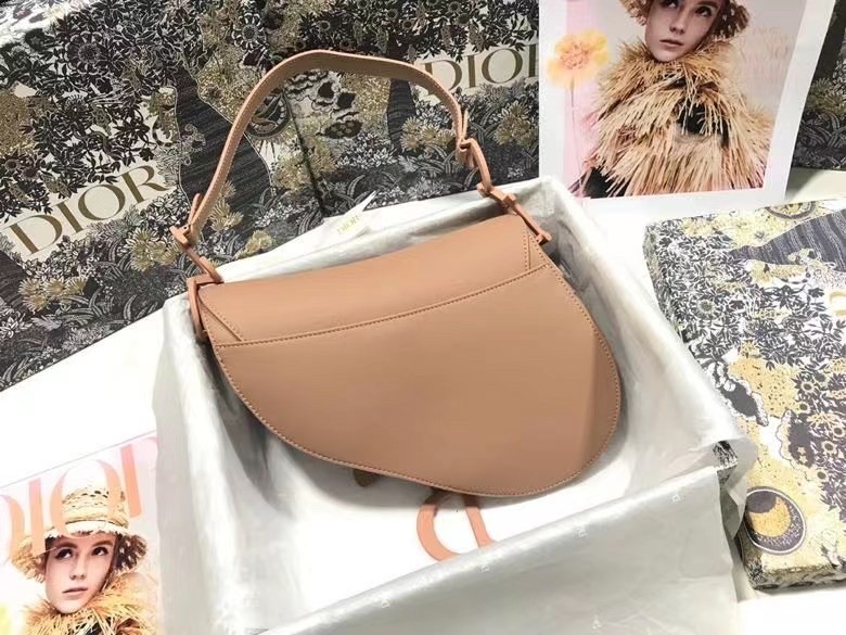 Dior Saddle Bag In Blush Ultramatte Calfskin 846