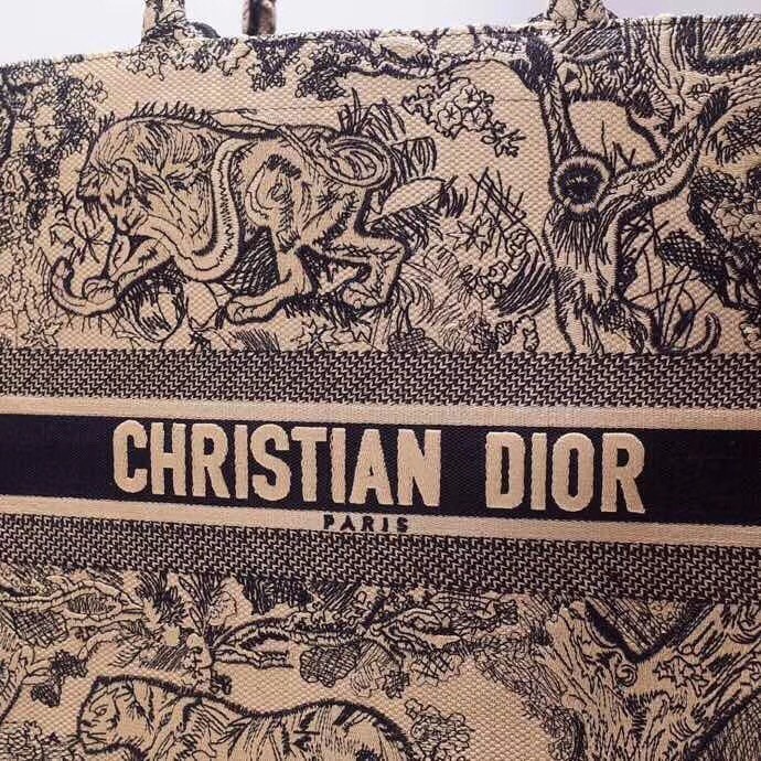 Dior Book Tote Bag In Blue Toile De Jouy Canvas 698