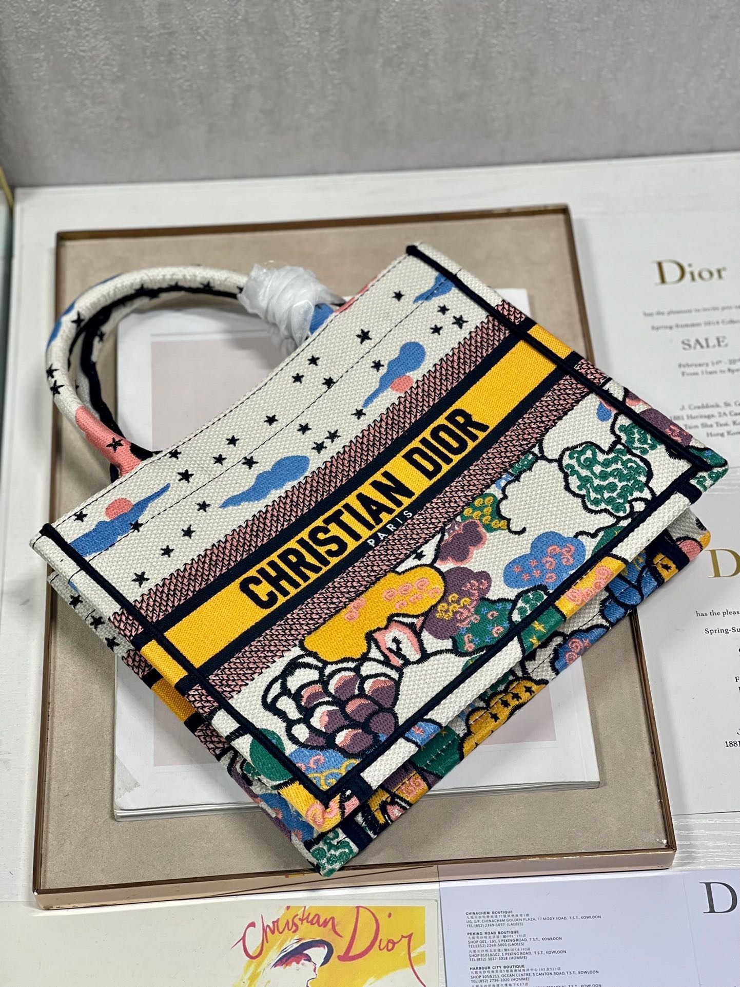 Dior Small Book Tote Bag In Ciel de Reve Embroidery 123