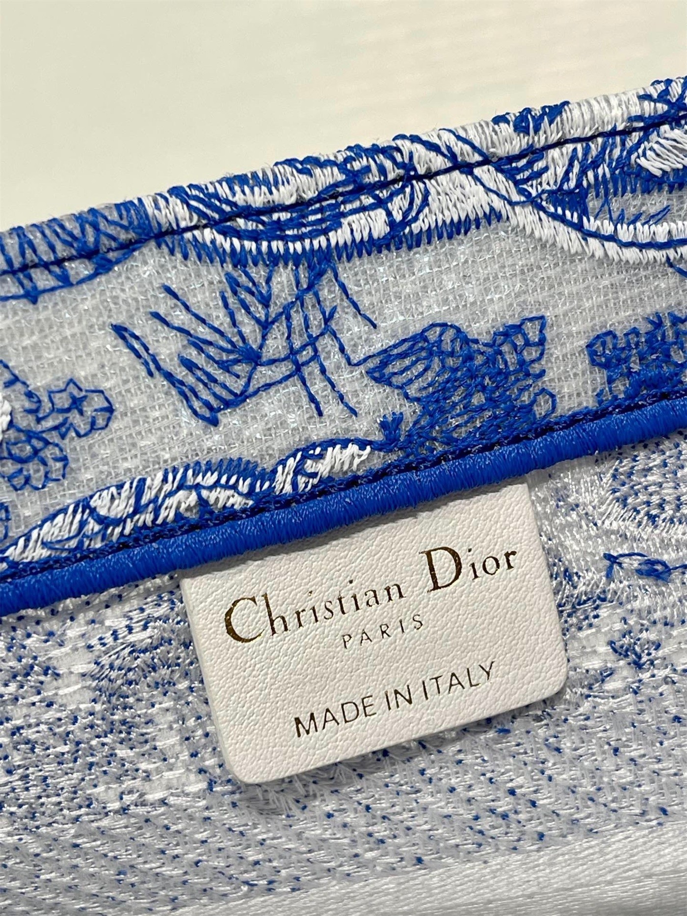 Dior Small Book Tote Bag In Blue Transparent Toile de Jouy Canvas 319