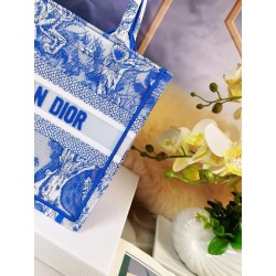 Dior Small Book Tote Bag In Blue Transparent Toile de Jouy Canvas 319