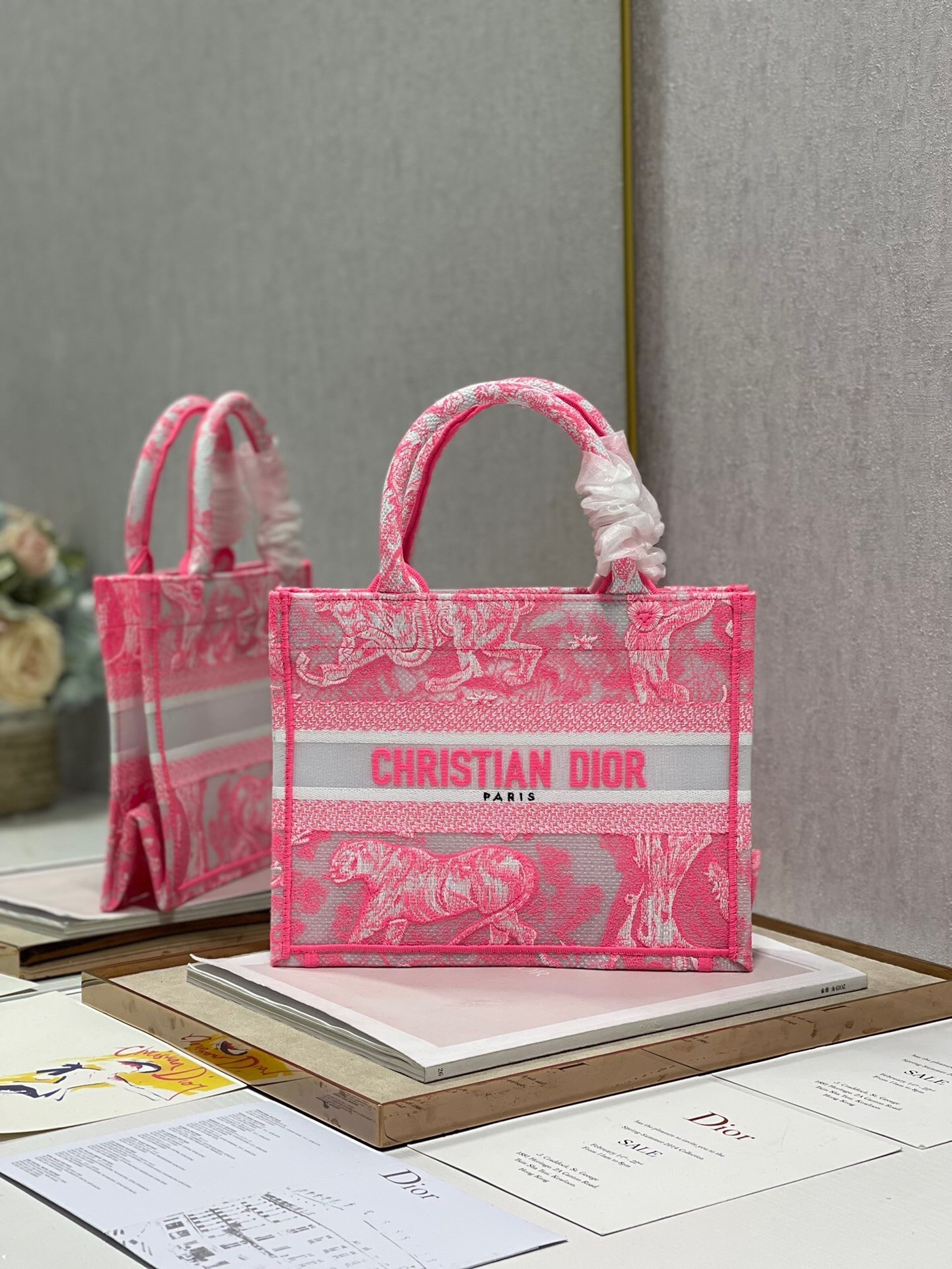 Dior Small Book Tote Bag In Pink Transparent Toile de Jouy Canvas 355