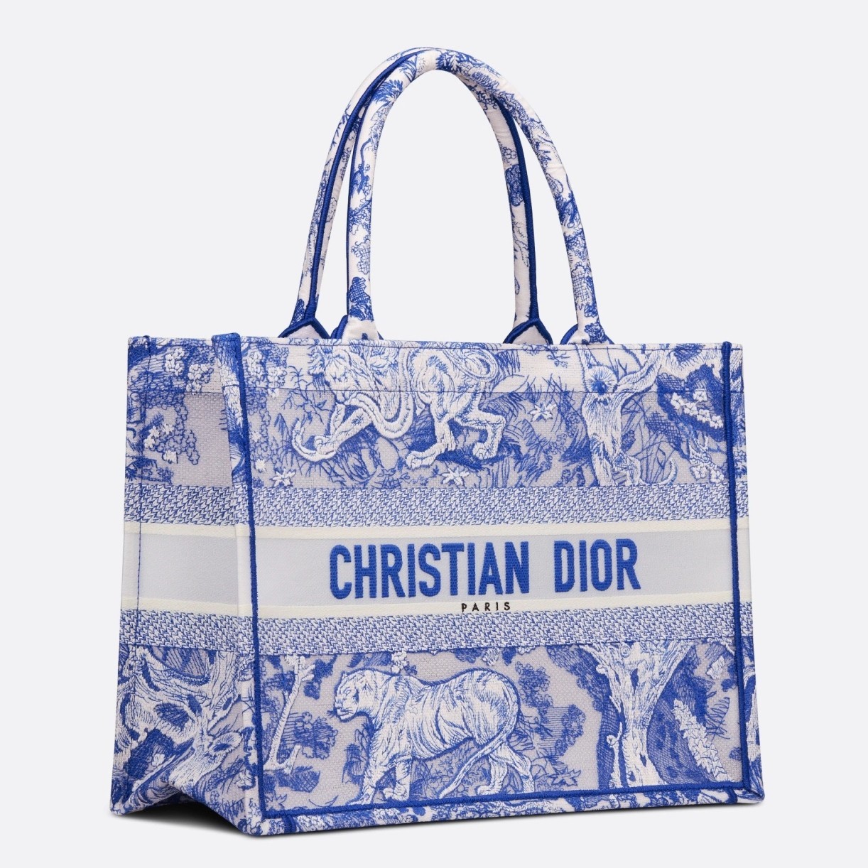 Dior Medium Book Tote Bag In Blue Transparent Toile de Jouy Canvas 488