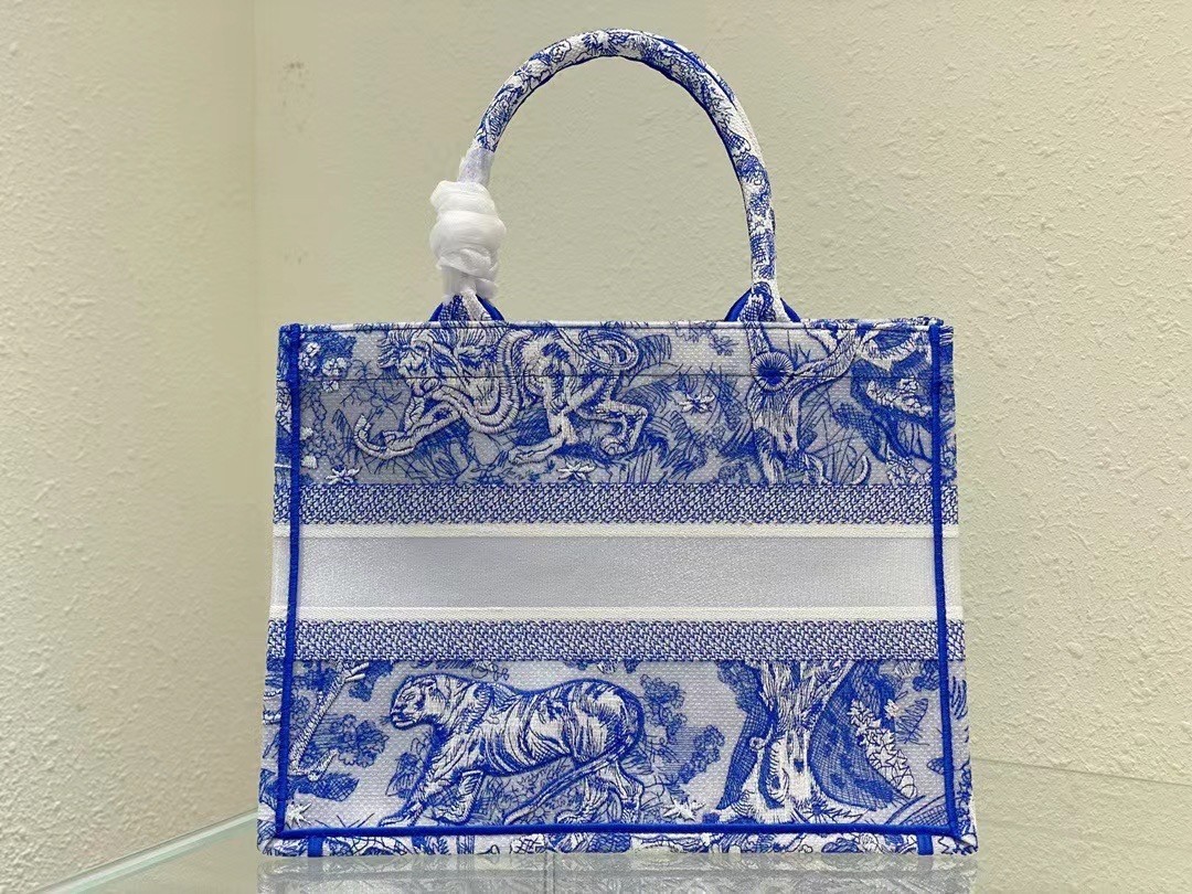 Dior Medium Book Tote Bag In Blue Transparent Toile de Jouy Canvas 488