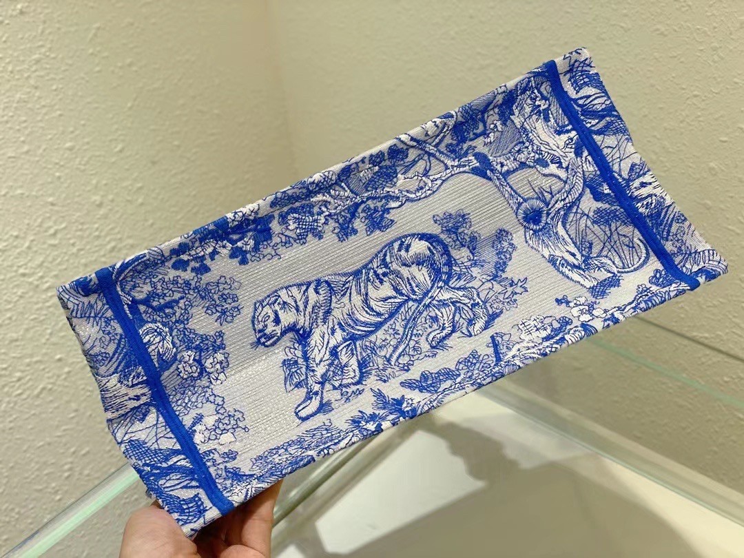 Dior Medium Book Tote Bag In Blue Transparent Toile de Jouy Canvas 488