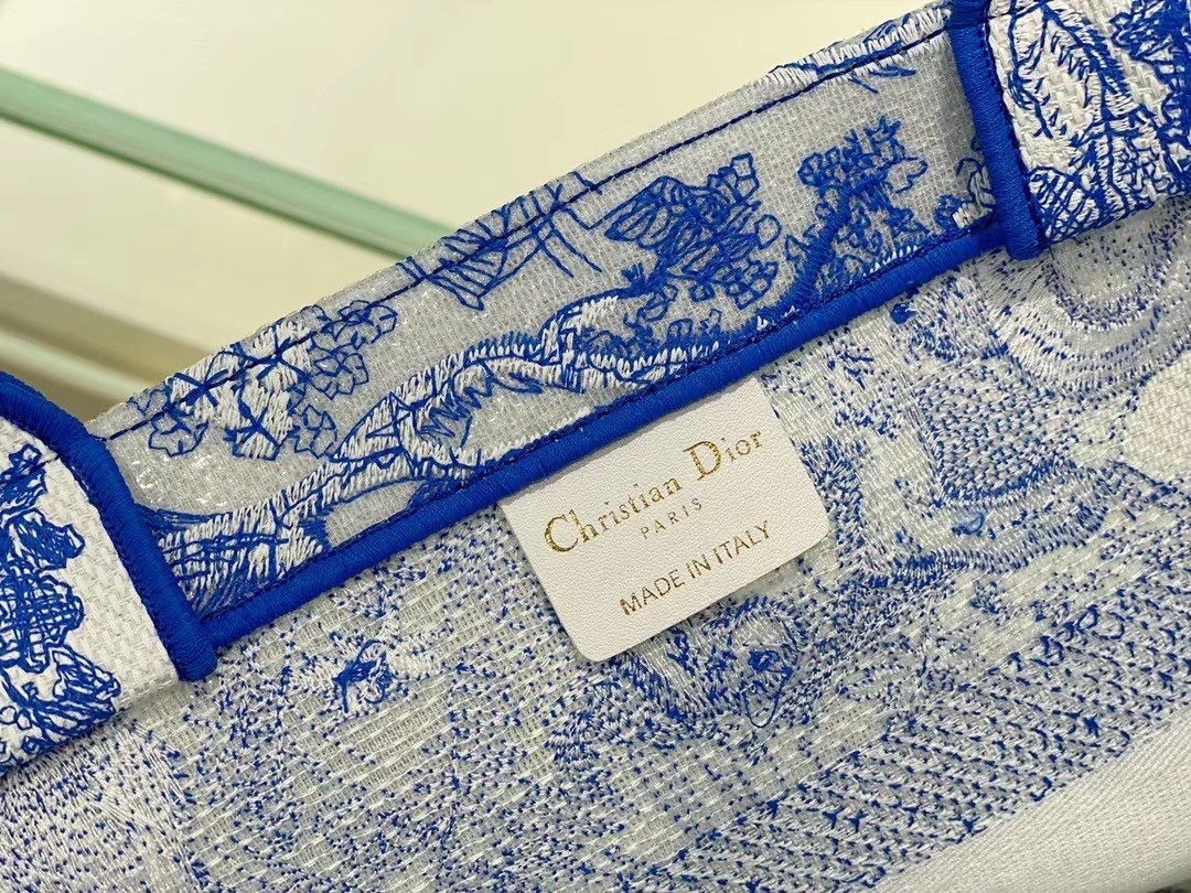 Dior Medium Book Tote Bag In Blue Transparent Toile de Jouy Canvas 488