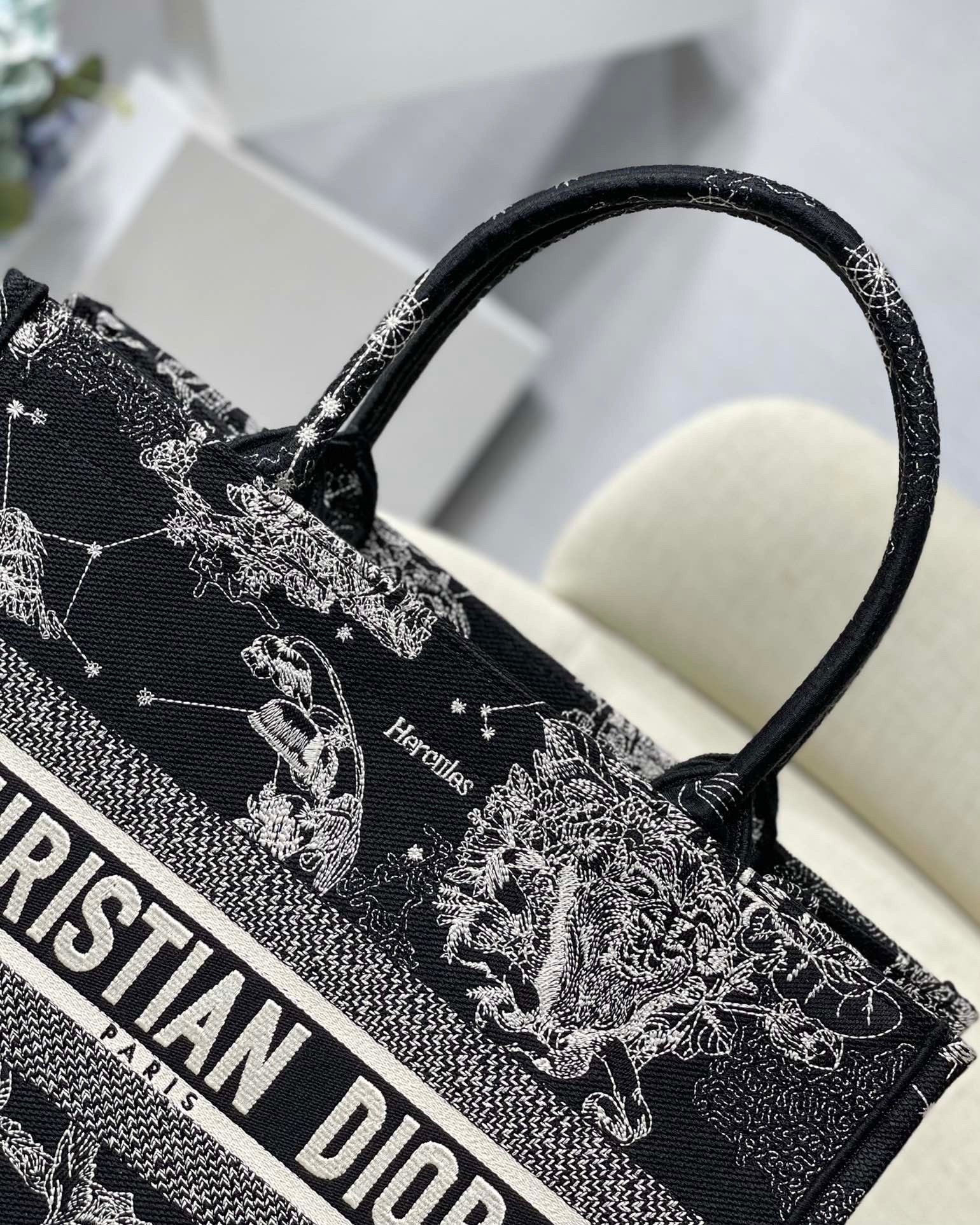 Dior Medium Book Tote Bag In Black Toile de Jouy Zodiac Embroidery 589