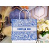 Dior Large Book Tote Bag In Blue Transparent Toile de Jouy Canvas 659