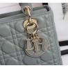 Dior Medium Lady Dior Bag with Enamel Charm In Grey Lambskin 874