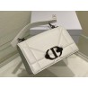 Dior 30 Montaigne Chain Bag With Handle In White Lambskin 104