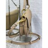 Dior Saddle Bag with Strap in Sand Grained Calfskin 537