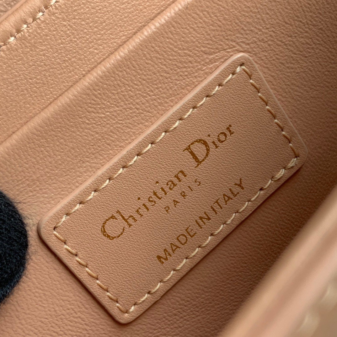 Dior 30 Montaigne Box Bag In Powder Box Calfskin 708