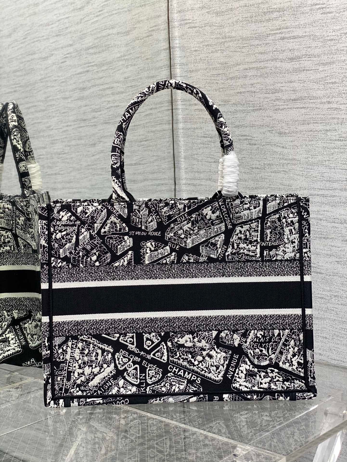 Dior Medium Book Tote Bag In Black Plan de Paris Embroidery  684