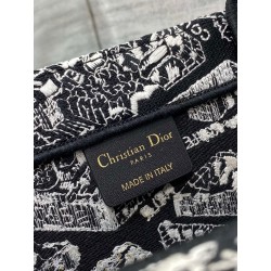 Dior Medium Book Tote Bag In Black Plan de Paris Embroidery  684