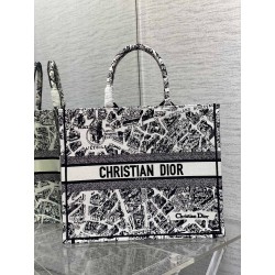 Dior Large Book Tote Bag In White Plan de Paris Embroidery 782