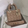 Dior Small Lady Dior My ABCDior Bag In Hazelnut Lambskin 604