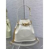 Dior C'est Medium Bag in White Saddle Calfskin 372