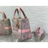 Dior Lady D-Lite Medium Bag in Grey and Pink Toile de Jouy Reverse Embroidery 581