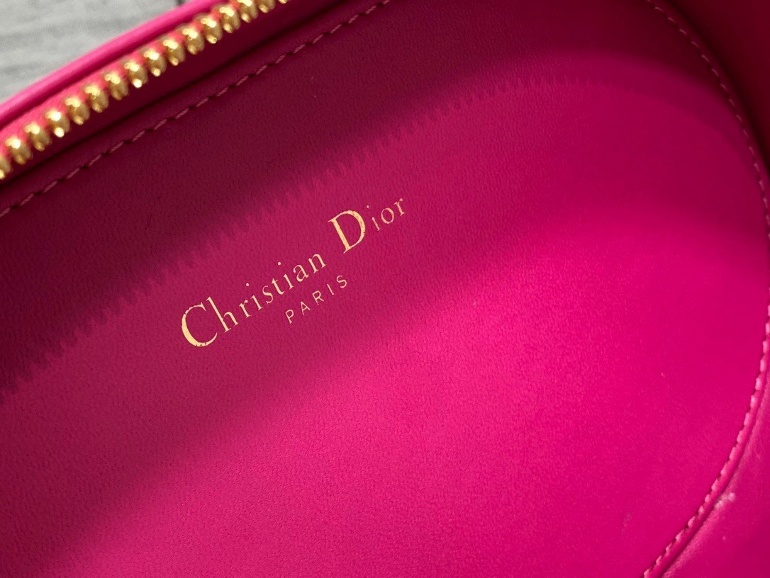 Dior CD Signature Oval Camera Bag in Rani Pink Calfskin 545