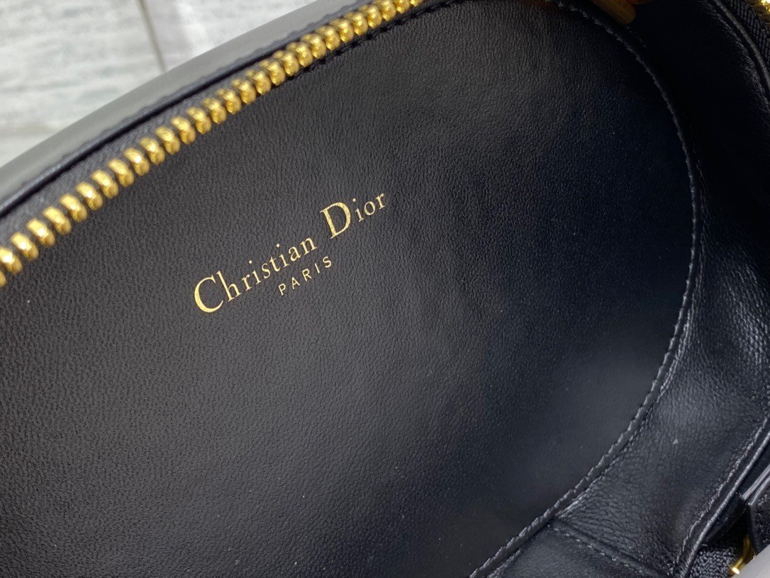 Dior CD Signature Oval Camera Bag in Black Calfskin 653