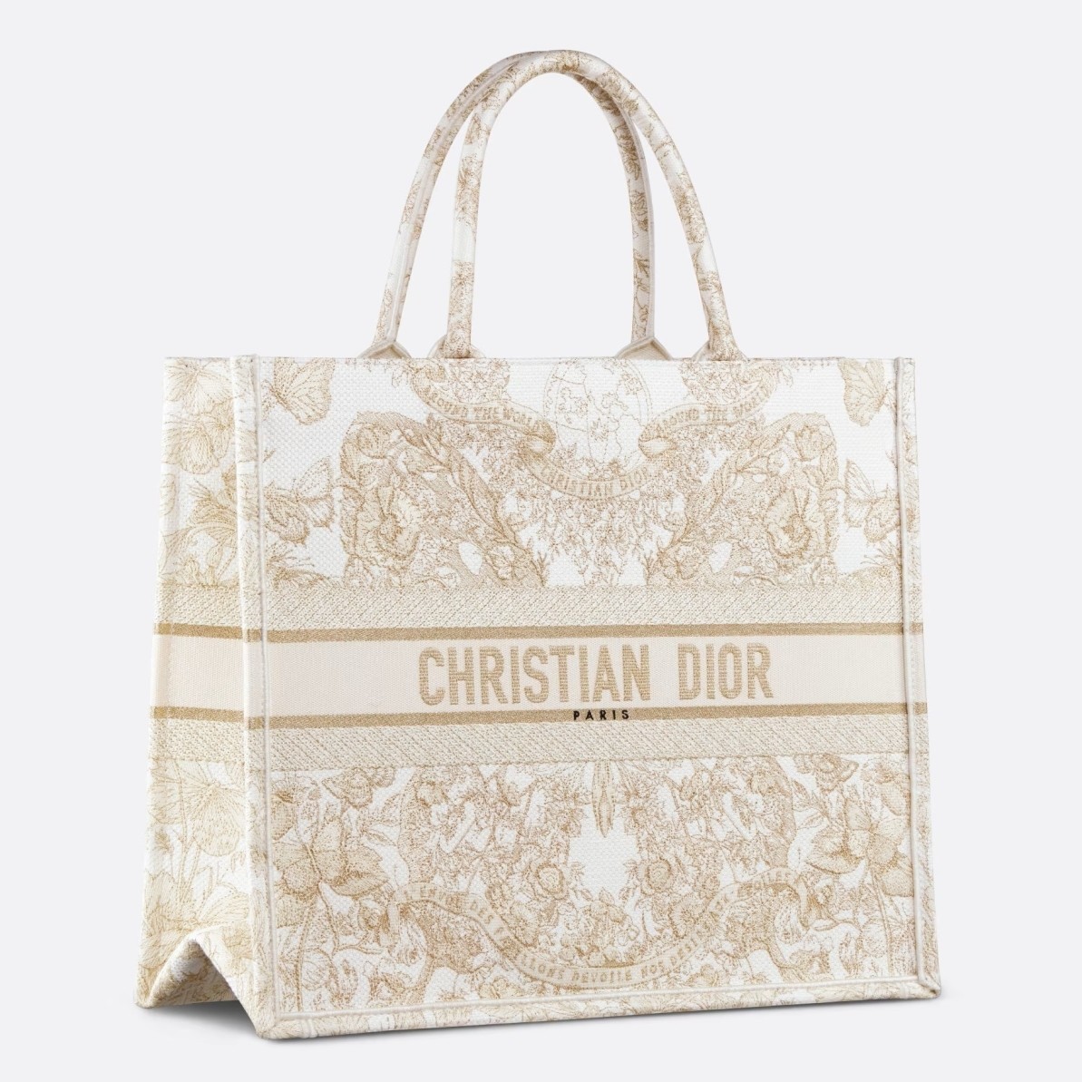 Dior Large Book Tote Bag in Butterfly Around The World Embroidery 360