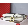 Dior Saddle Bag In White Grained Calfskin 661