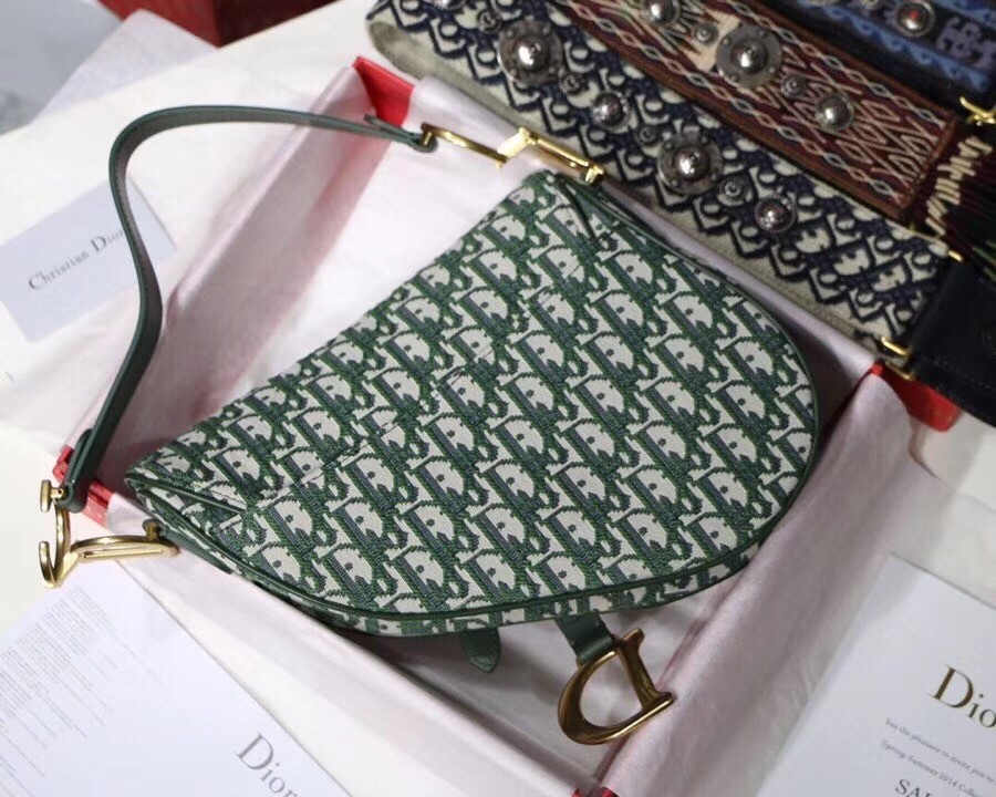 Dior Saddle Bag In Green Oblique Jacquard Canvas 695