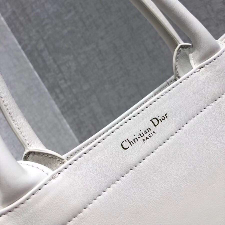 Dior Book Tote Bag In White Surrealism Printed Calfskin 515